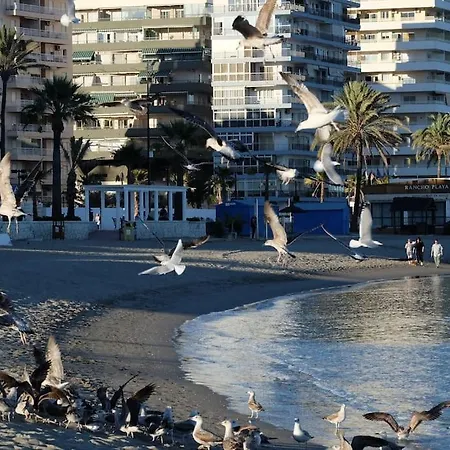 Apartamento Cerca Al Mar 아파트 *
